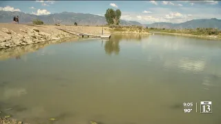 Harmful Algal Bloom reported at Utah Lake