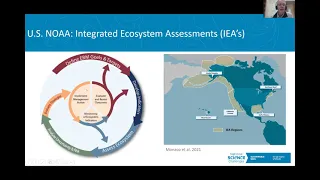Webinar: Sustainable Seas in a global context