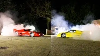 Ferrari F50 Showdown