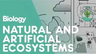 Differences Between Natural & Artificial Ecosystems | Ecology & Environment | Biology | FuseSchool