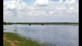 airboat races 7/27/08