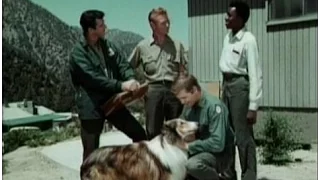 Lassie - Episode #505 - "Success Story" - Season 16, Ep. 2 - 10/05/1969