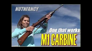 The M1 Carbine That Does Not Suck: Auto Ordnance