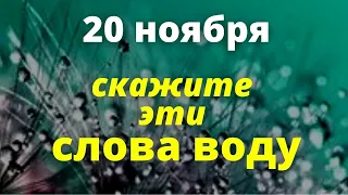 20 ноября скажите эти слова на воду. Лунный день сегодня | Деньги в дом эзотерика для тебя