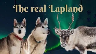 The Real Lapland | Magical Lapland Holidays with Canterbury Travel