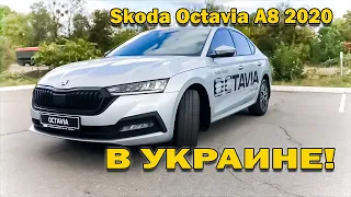 Новая Skoda Octavia A8 2021 Ambition в Украине. Обзор. Тест-драйв. Стоимость.