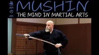 Mushin The Martial Arts Flow State & Utrainstinct