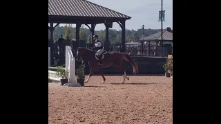 CheckMeOut - Schooling at Tryon