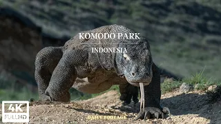 Komodo national park 4k (Indonesia) Great footages 🤩🤩🤩