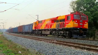 Gandhidham's GE WDG4G chugging / growling with a Heavily Loaded BCNA Freight Train | Abhinav LHB