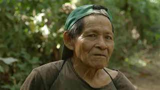 Ashaninka Cocoa from the Peruvian Amazon