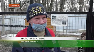 В Брянском зоопарке детёныш кенгуру впервые вылез из сумки