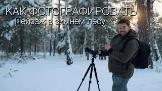 Как Фотографировать / Пейзаж в зимнем лесу