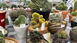 Cactus & Succulent Fair NSW May 2023