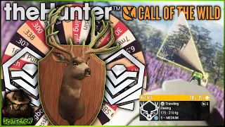 "SPOTLIGHT" The Diamond Mule Deer Gets TAKEN DOWN During A Random Wheel Hunt! Call of the wild