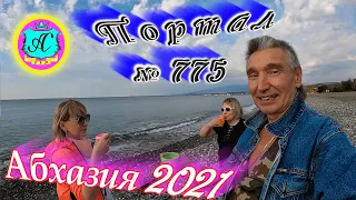 Абхазия 2021❗29 ноября🌴Выпуск №775❗ Погода и новости от Водяного🌡ночью 16°🌡днем +24°🐬море +16,2°