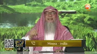 A cat at home Sheikh Assim Al Hakeem #fatwa #islamqa #hudatv