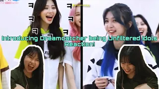 First Time Reacting to Introducing Dreamcatcher being Unfiltered Idols by insomnicsy!