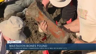 Mastodon bones unearthed in Kent City