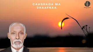 Maxamuud M Xasan Kabanle |  Caashaqa ma dhaafnaa.