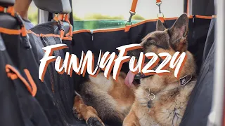 How to assemble and use Transformable Dog Car Seat Cover from FunnyFuzzy