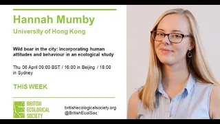 Ecology Live 2021 with Hannah Mumby - Wild Boar In The City