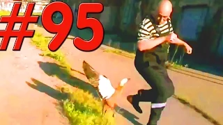 ПРИКОЛЫ / JOKES [PrivetShowChannel] ВЫПУСК #95