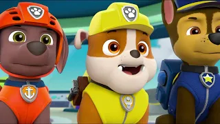 Paw Patrol Academy Adventure - Best Fun Educational Toddlers Game for Children in English HD
