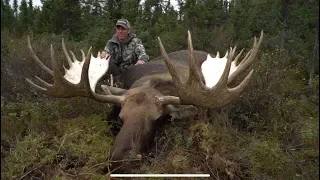 TOP 3 BIGGEST MOOSE EVER SHOT! (Compilation)