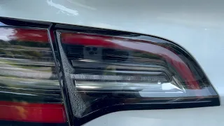 SGDS: Tesla model 3, condensation in tail light fix