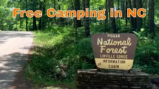 Free Camping in North Carolina at Old NC 105, Pisgah NF, NC