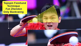 Fan Zhendong's Forehand Table Tennis Biomechanics Analysis