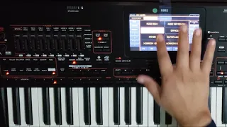 KORG PA4X RITMLAR