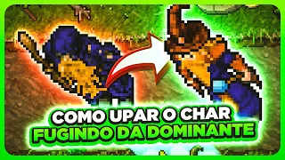 Como jogar Tibia e pegar level MIL sem ser de guild dominante l Tibia Tips