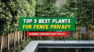 Top 5 Plants for Fence That Provide Extra Privacy | Privacy Fence (Hedge) Landscaping 👌