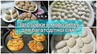 ✨ ЗАГОТОВКИ В МОРОЗИЛКУ ДЛЯ БАГАТОДІТНОЇ СІМ'Ї 🍕🥟🥩🍄