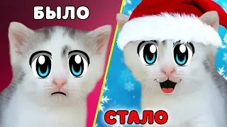 CAT MURKA without MOOD! DECORATE THE CHRISTMAS TREE FOR THE NEW YEAR! A LETTER to SANTA CLAUS and CH