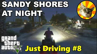 Just Driving #8 - GTA V - Midnight drive around Sandy Shores with Ron
