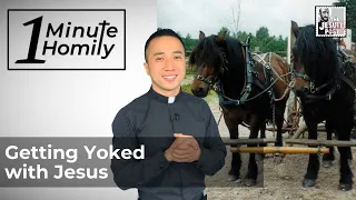 Getting Yoked with Jesus | One-Minute Homily