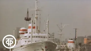Владивосток (1984)