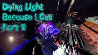 Dying Light | Because I Can | 11