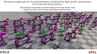 ManyQuadrupeds: Learning a Single Locomotion Policy for Diverse Quadruped Robots