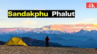 Epic 7 Days at 12000 ft to chase A Himalayan Adventure❗Decoding The Trek & Sandakphu Tour Experience