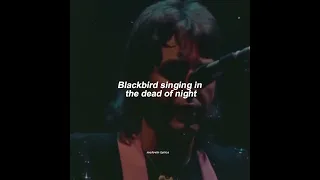 blackbird-the beatles (lyrics) #fyp #thebeatles #paulmccartney