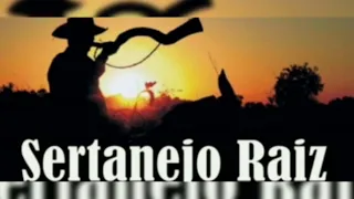 sertanejo raiz - As Melhores                               #music #musica #sertanejo #sertanejoraiz