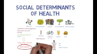 What Makes Us Healthy? Understanding the Social Determinants of Health