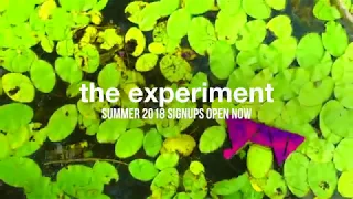 The Experiment 2018 Teaser