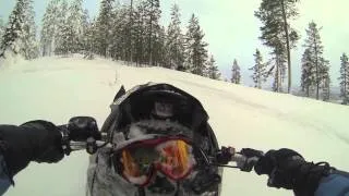 Polaris Pro RMK 800 -tree riding in midlle of finland