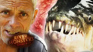 Tigerfish Compilation | COMPILATION | River Monsters