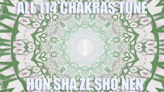 All 114 chakras meditation Hon Sha Ze Sho Nen Reiki Light for ALL CHAKRAS entire path UP to Source